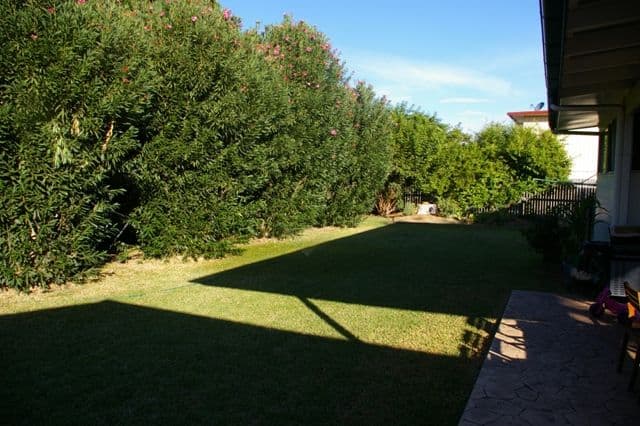 35 Elizabeth, Goondiwindi QLD 4390, Goondiwindi - Thumbnail 8