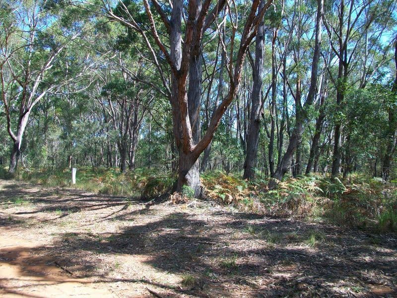 8 Glenfield Avenue, RUSSELL ISLAND QLD 4184, Russell Island - Image 1