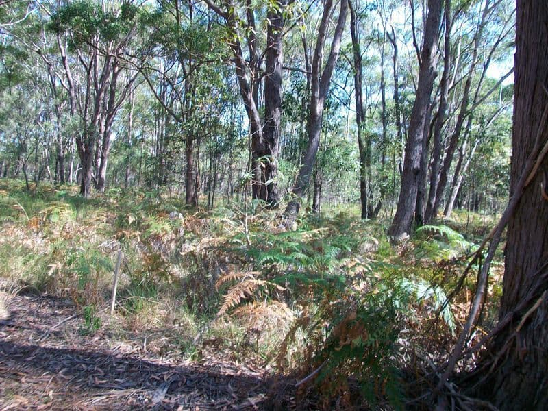8 Glenfield Avenue, RUSSELL ISLAND QLD 4184, Russell Island - Thumbnail 2