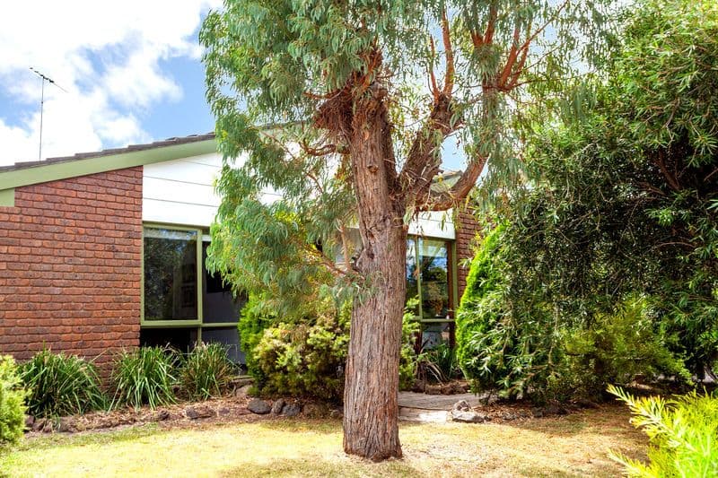 14 Tamala Avenue, MARSHALL VIC 3216, Marshall - Image 1
