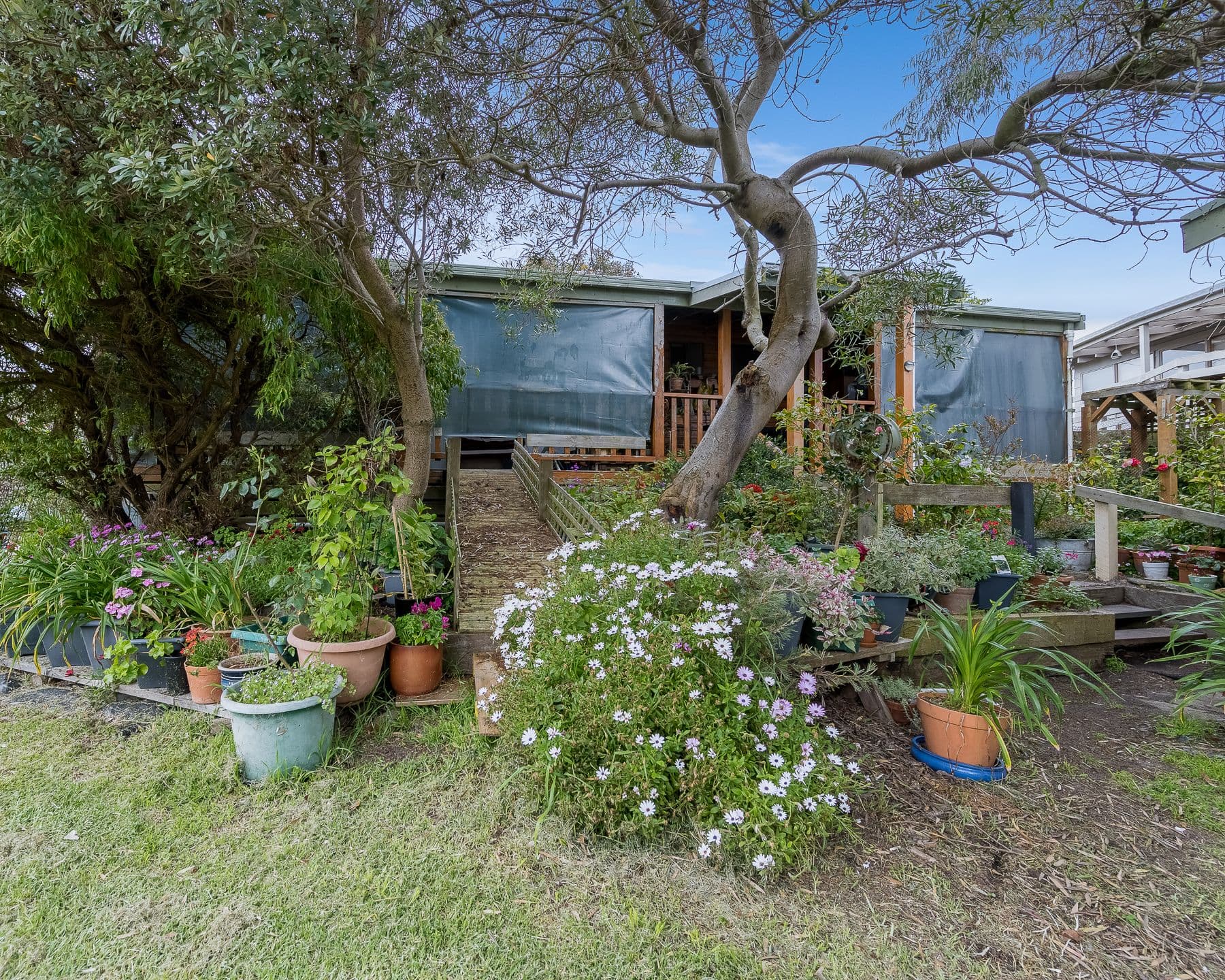 33 Cassia Street, Cape Paterson VIC 3995, Cape Paterson - Thumbnail 5