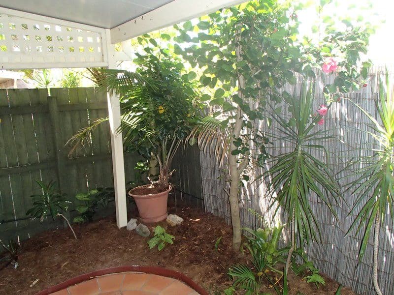 132 Fernvale Road, Brassall QLD 4305, Brassall - Thumbnail 8