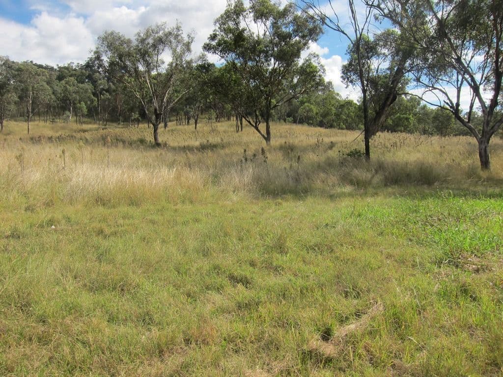 10 Pindari Drive, Tamworth NSW 2340, Tamworth - Thumbnail 7