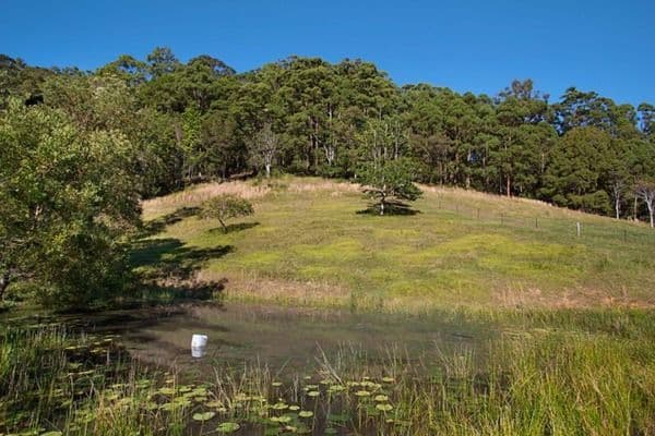 583 Piggabeen Road, Piggabeen NSW 2486, Piggabeen - Thumbnail 2