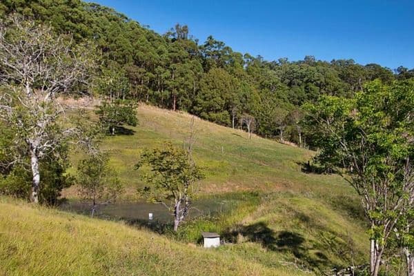 583 Piggabeen Road, Piggabeen NSW 2486, Piggabeen - Thumbnail 4