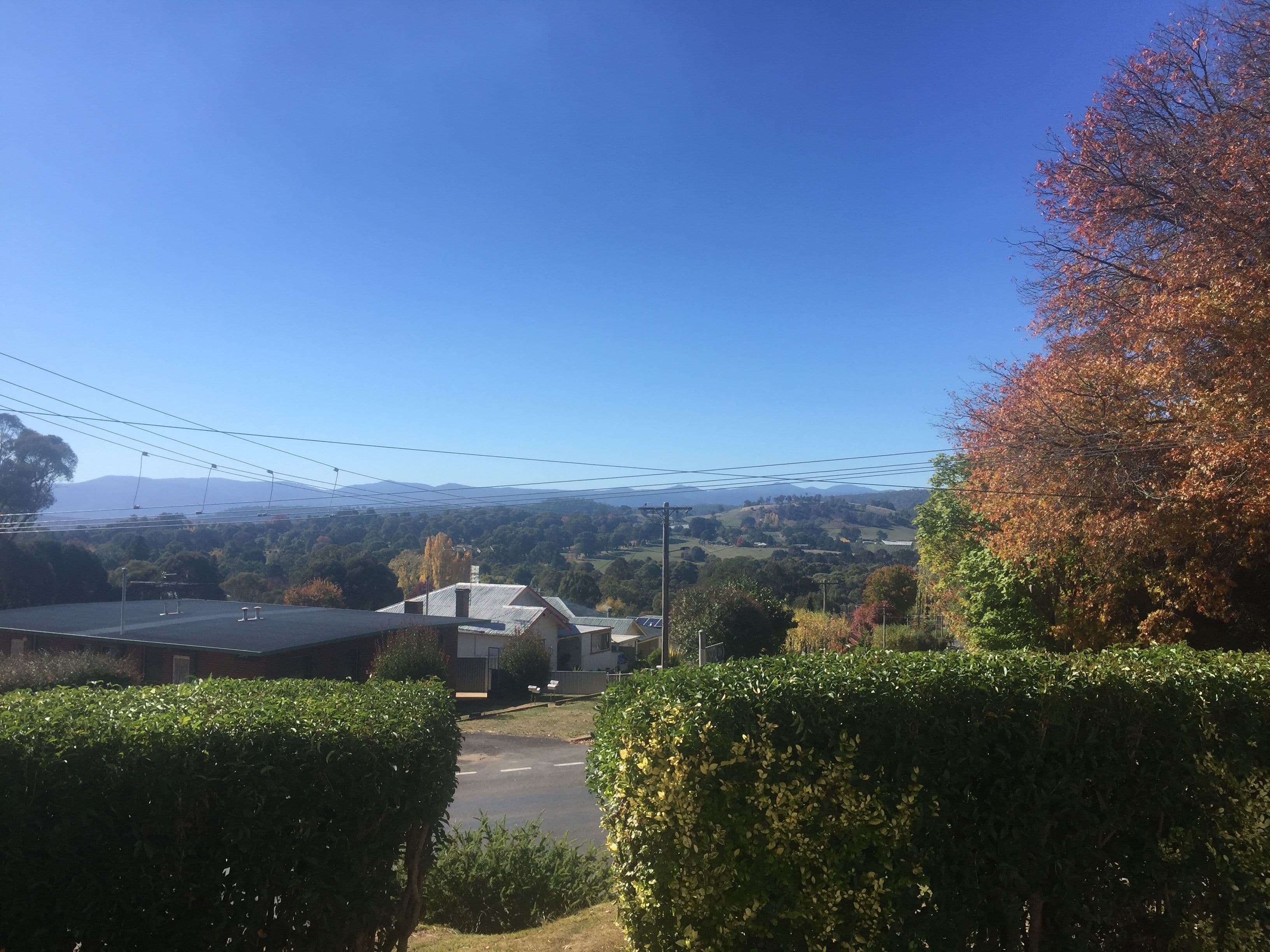 62 Tumbarumba Road, Batlow NSW 2730, Batlow - Thumbnail 4