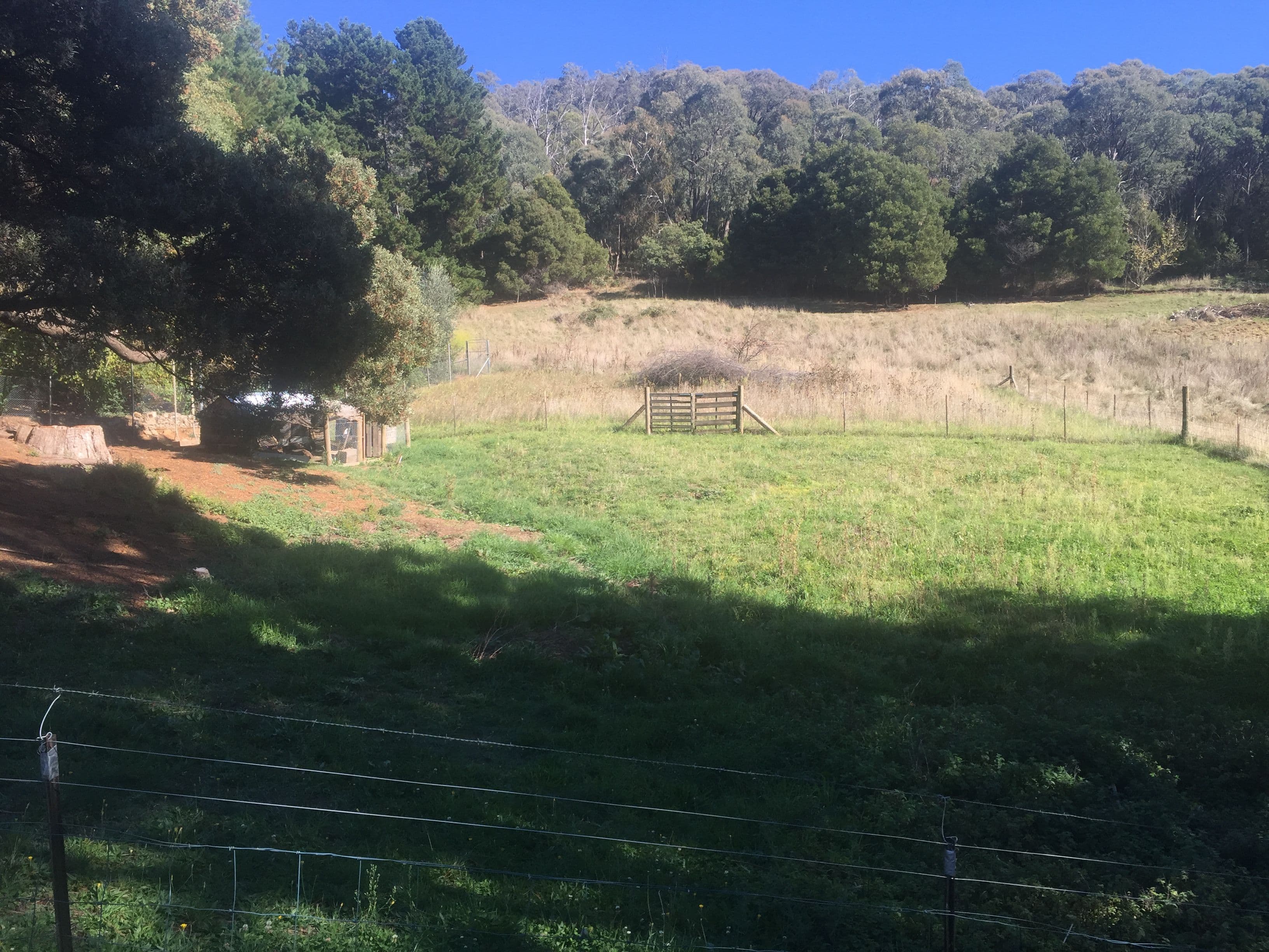 62 Tumbarumba Road, Batlow NSW 2730, Batlow - Thumbnail 7