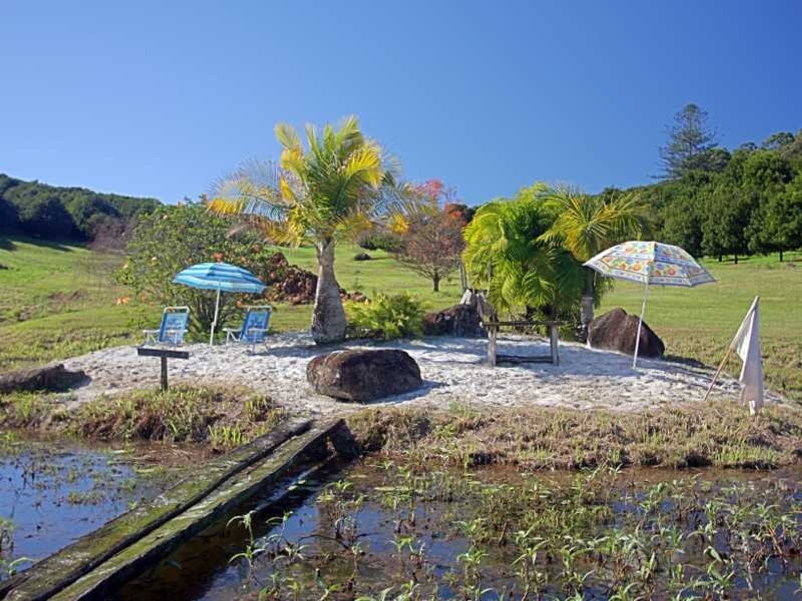 332 Picadilly Hill Road, Coopers Shoot - Thumbnail 8
