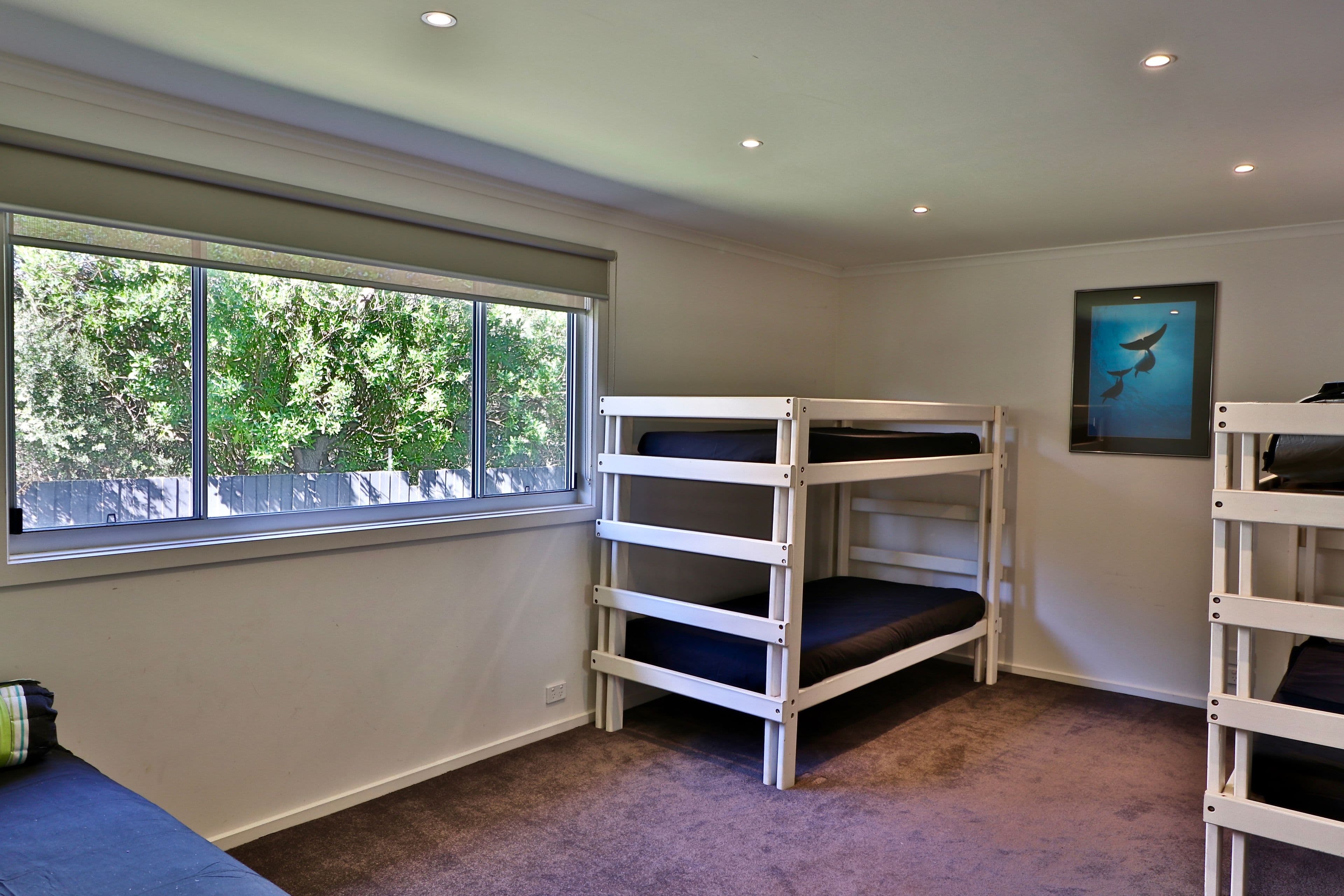 113 Lantana Road, Cape Woolamai VIC 3925, Cape Woolamai - Thumbnail 8