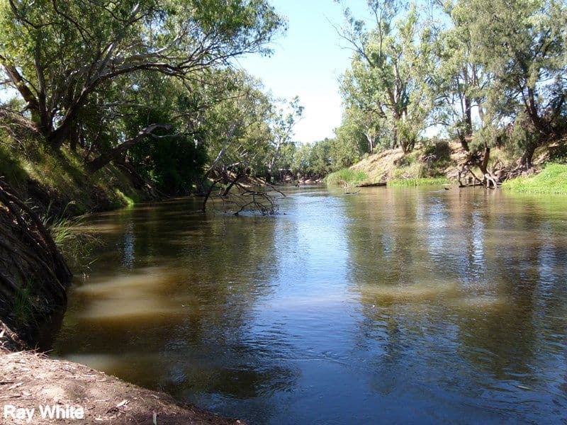 144 Salisbury Road, Forbes - Image 1