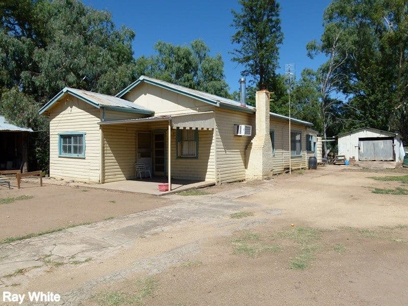 144 Salisbury Road, Forbes - Thumbnail 2