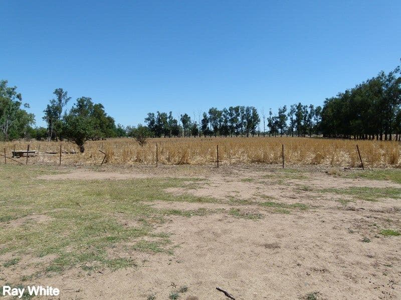 144 Salisbury Road, Forbes - Thumbnail 3