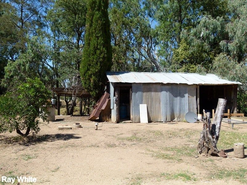 144 Salisbury Road, Forbes - Thumbnail 4