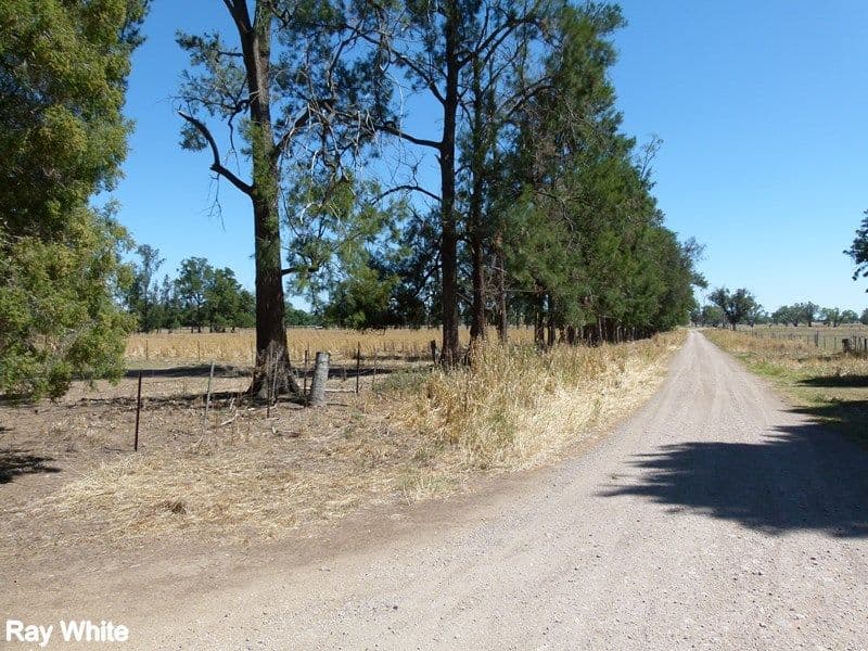 144 Salisbury Road, Forbes - Thumbnail 5