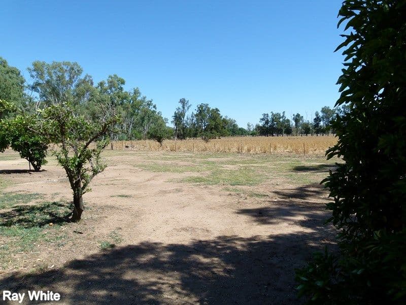 144 Salisbury Road, Forbes - Thumbnail 6