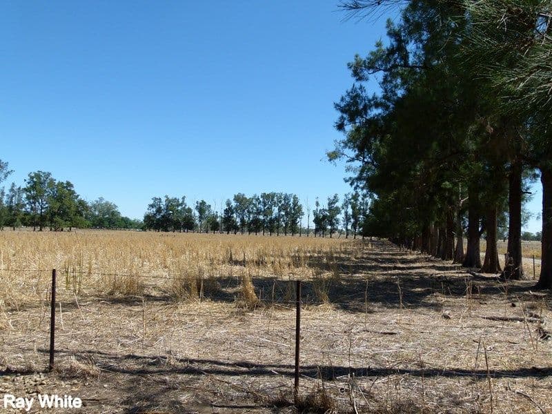 144 Salisbury Road, Forbes - Thumbnail 7