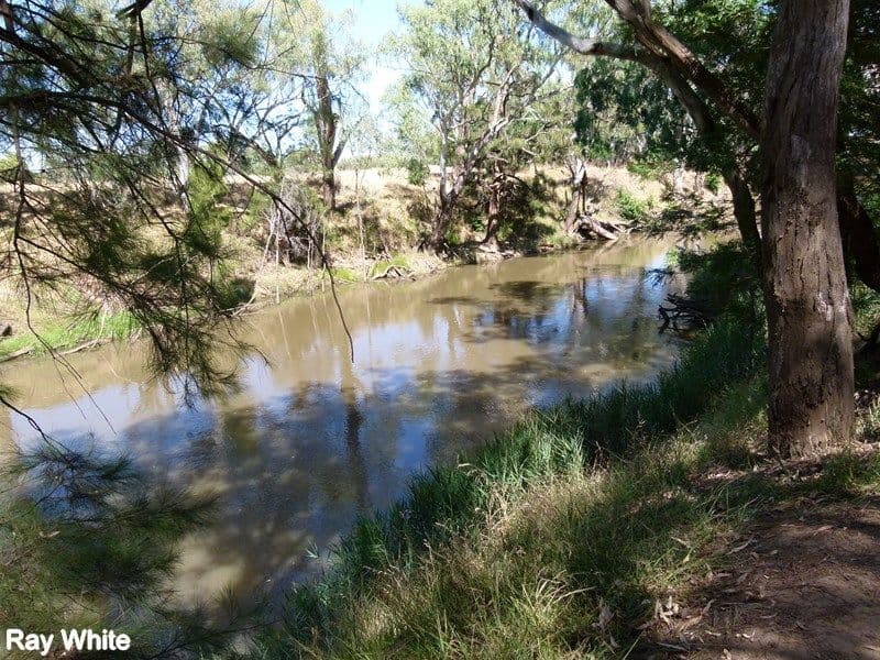 144 Salisbury Road, Forbes - Thumbnail 8