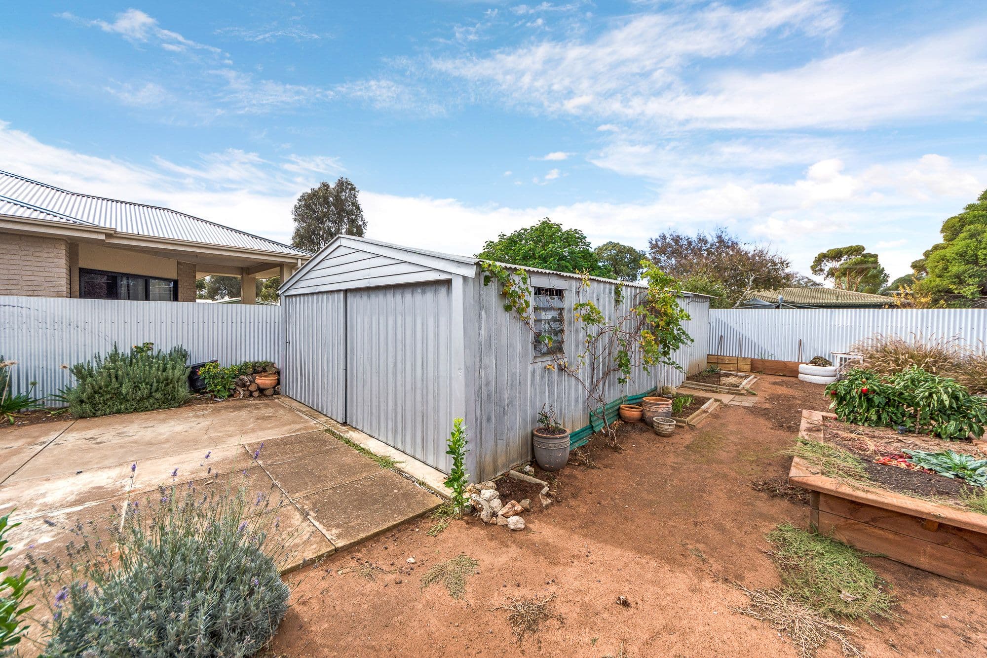 52 Lachlan Avenue, Murray Bridge SA 5253, Murray Bridge - Thumbnail 7