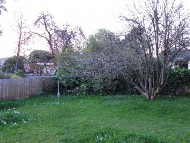 4 Keith Grove, RINGWOOD VIC 3134, Ringwood - Thumbnail 8