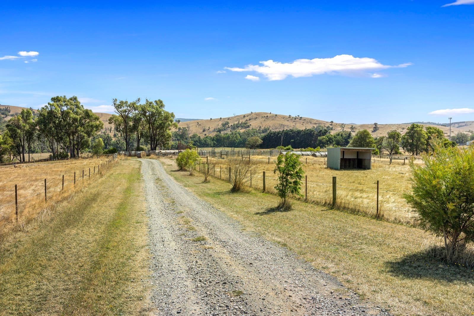 3684 Melba Highway, Glenburn VIC 3717, Glenburn - Thumbnail 5