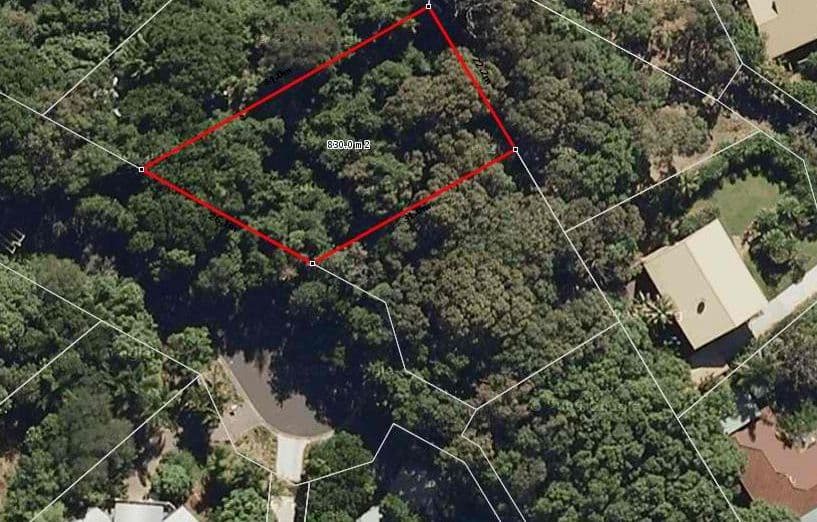 33 Fauna Terrace, COOLUM BEACH QLD 4573, Coolum Beach - Thumbnail 3