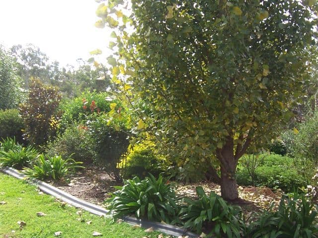 6  Jackson Close, HIGHFIELDS QLD 4352, Highfields - Thumbnail 2