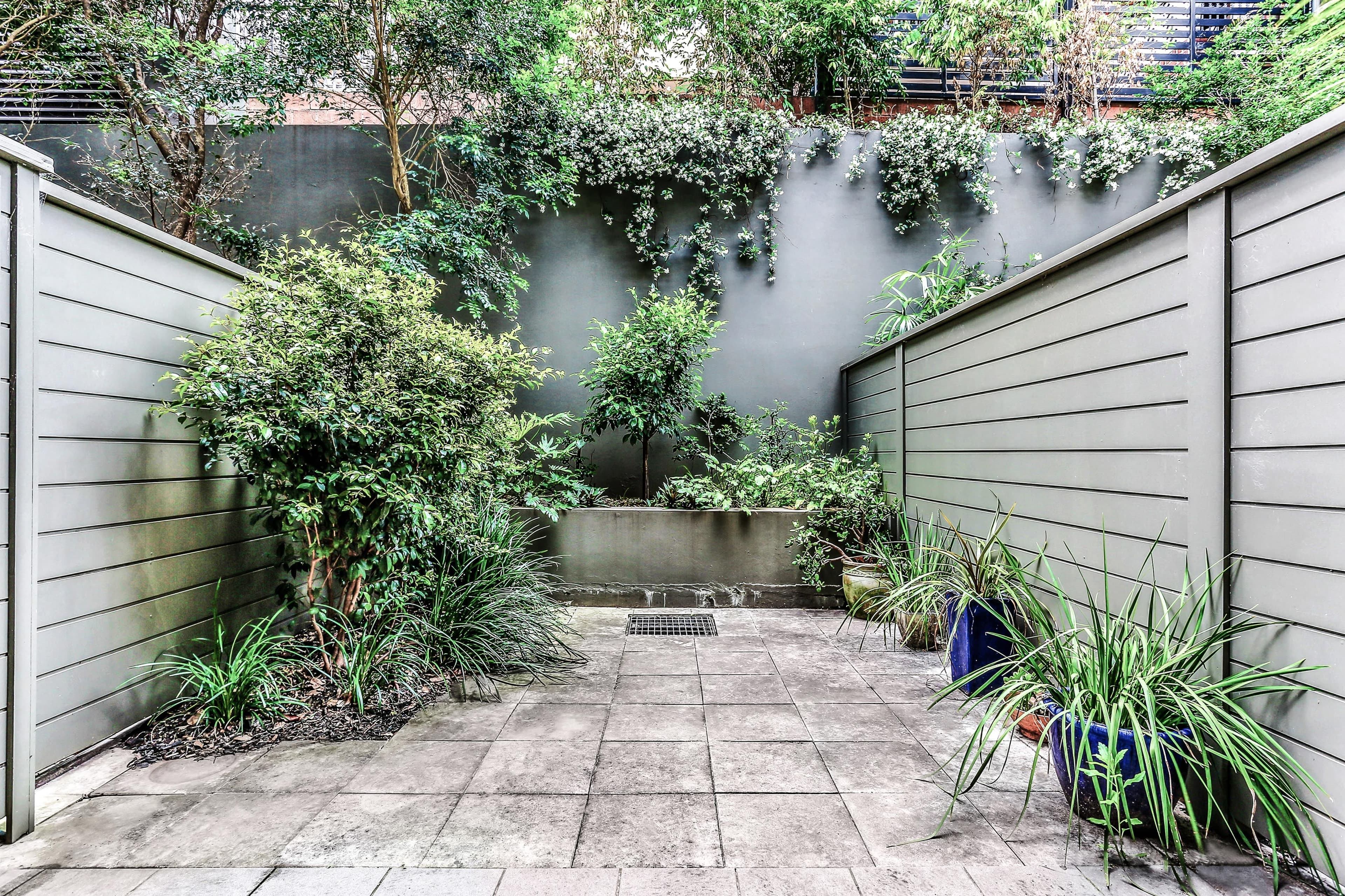 12 Garden Street, Alexandria NSW 2015, Alexandria - Thumbnail 6