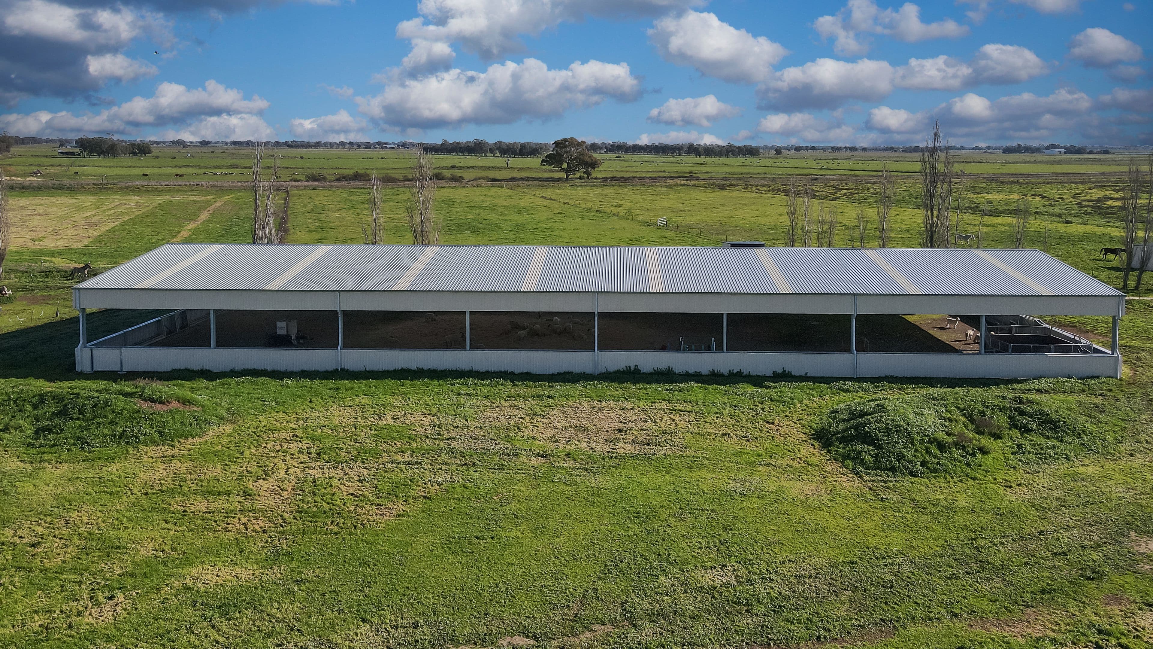 3871 Bendigo - Pyramid Road, Dingee VIC 3571, Dingee - Thumbnail 2