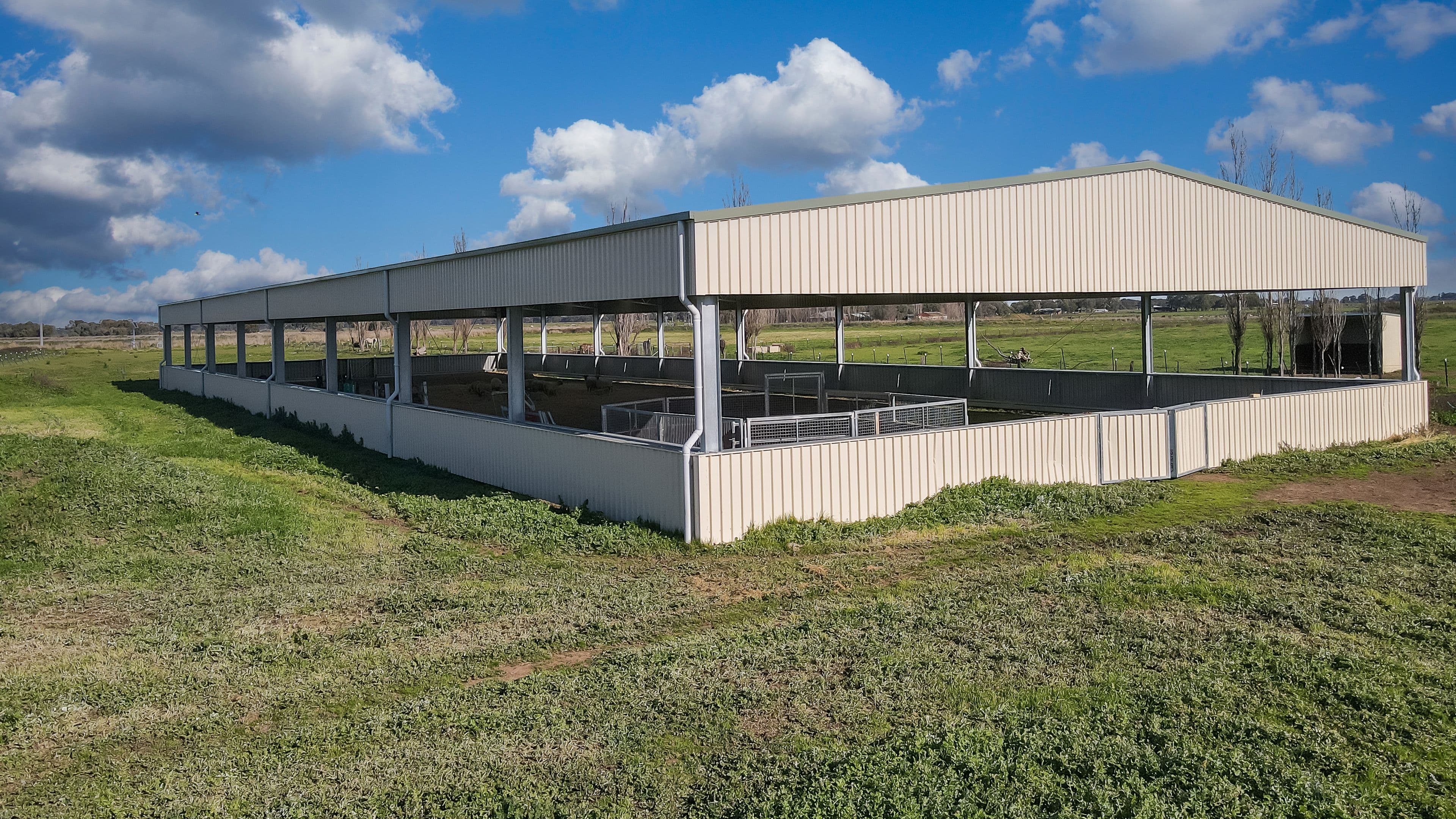 3871 Bendigo - Pyramid Road, Dingee VIC 3571, Dingee - Thumbnail 4