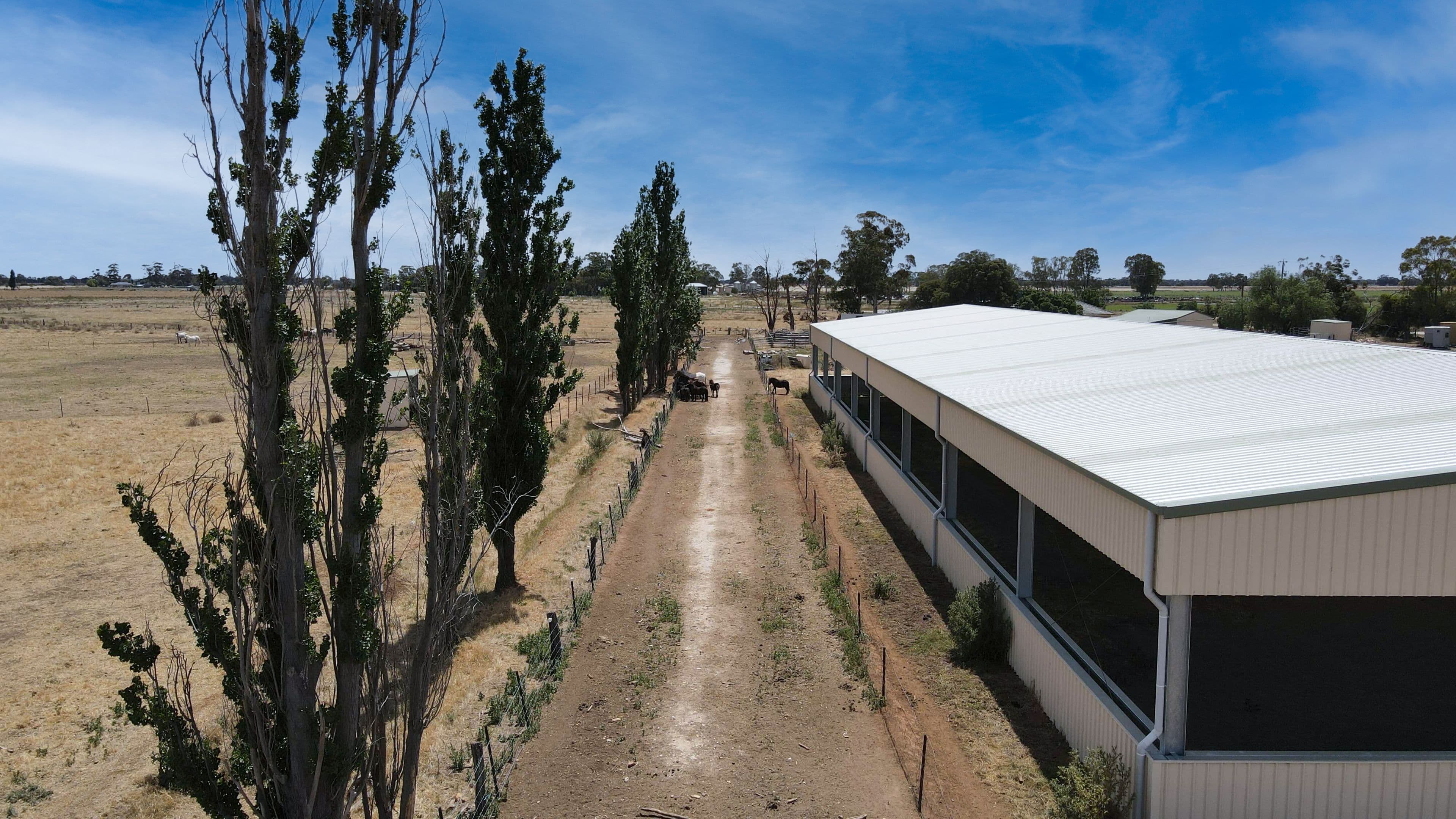 3871 Bendigo - Pyramid Road, Dingee VIC 3571, Dingee - Thumbnail 8