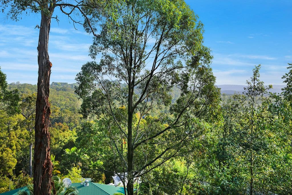 44 Hobbs Road, Buderim QLD 4556, Buderim - Thumbnail 2