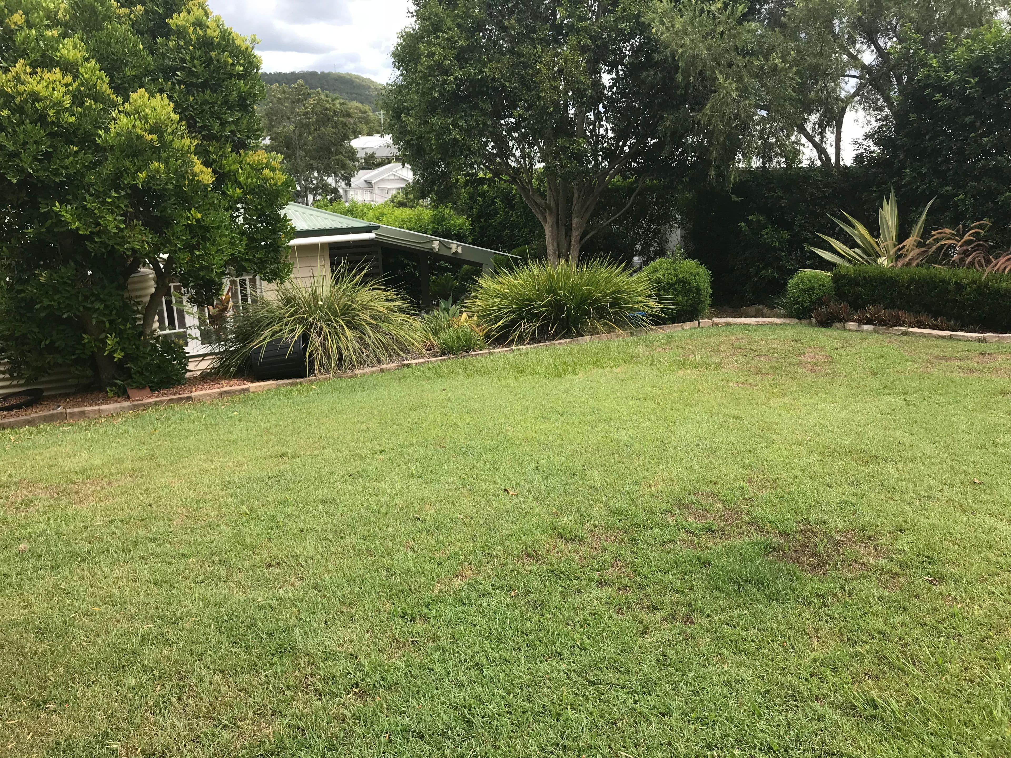 43 Girraween Grove, Ashgrove QLD 4060, Ashgrove - Thumbnail 2