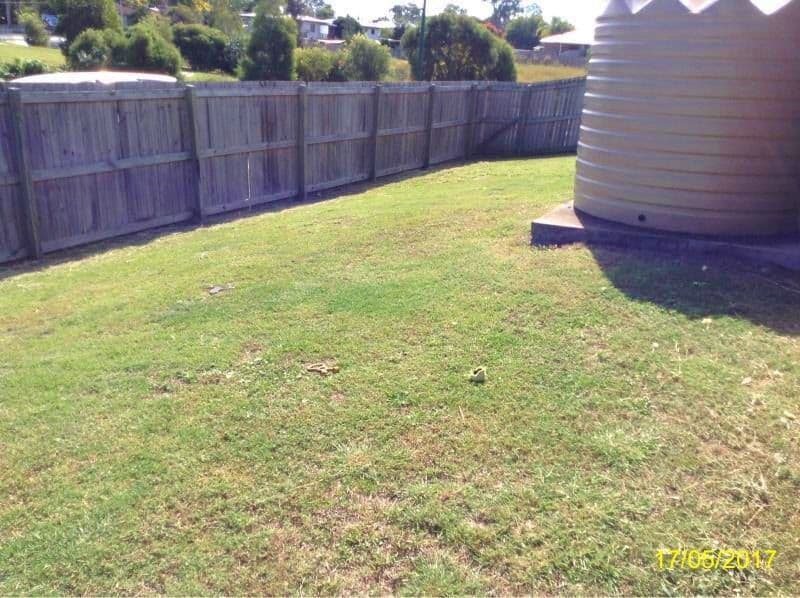 3 Pencarrow Crescent, Raceview QLD 4305, Raceview - Thumbnail 2