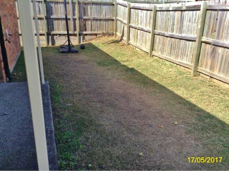 3 Pencarrow Crescent, Raceview QLD 4305, Raceview - Thumbnail 3