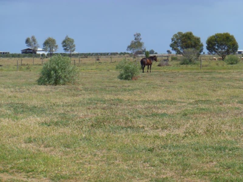 160 Buckland Park Road, Two Wells - Thumbnail 2