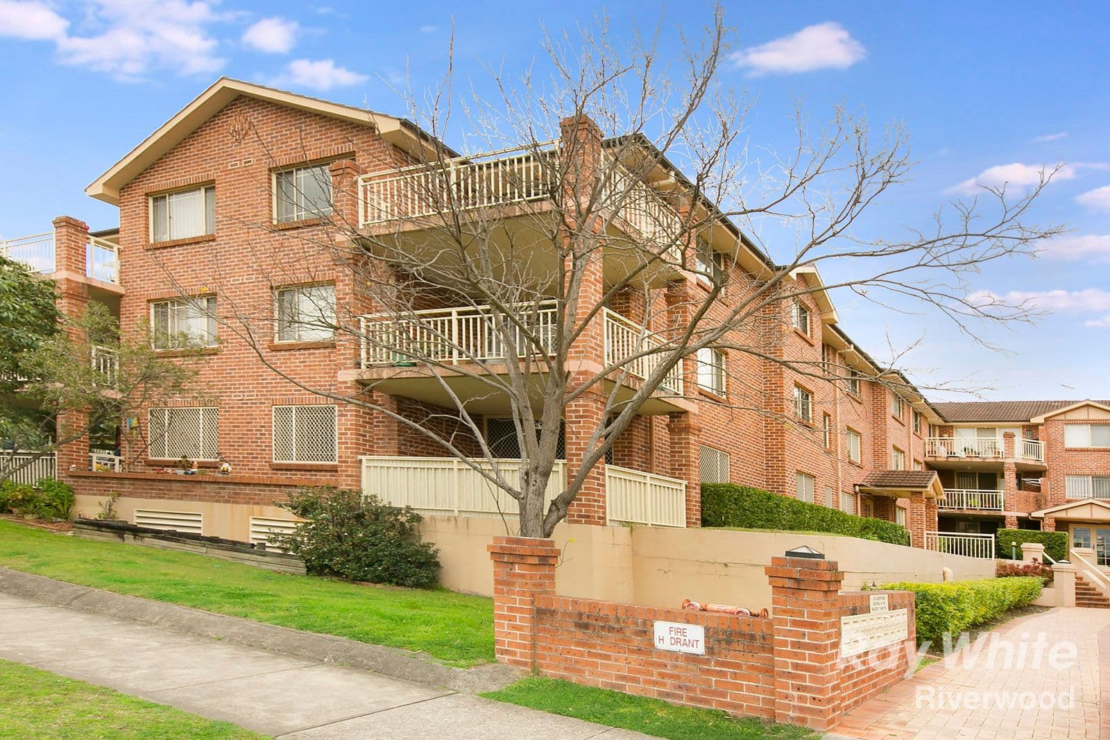 29 Littleton Street, Riverwood NSW 2210, Riverwood - Image 1
