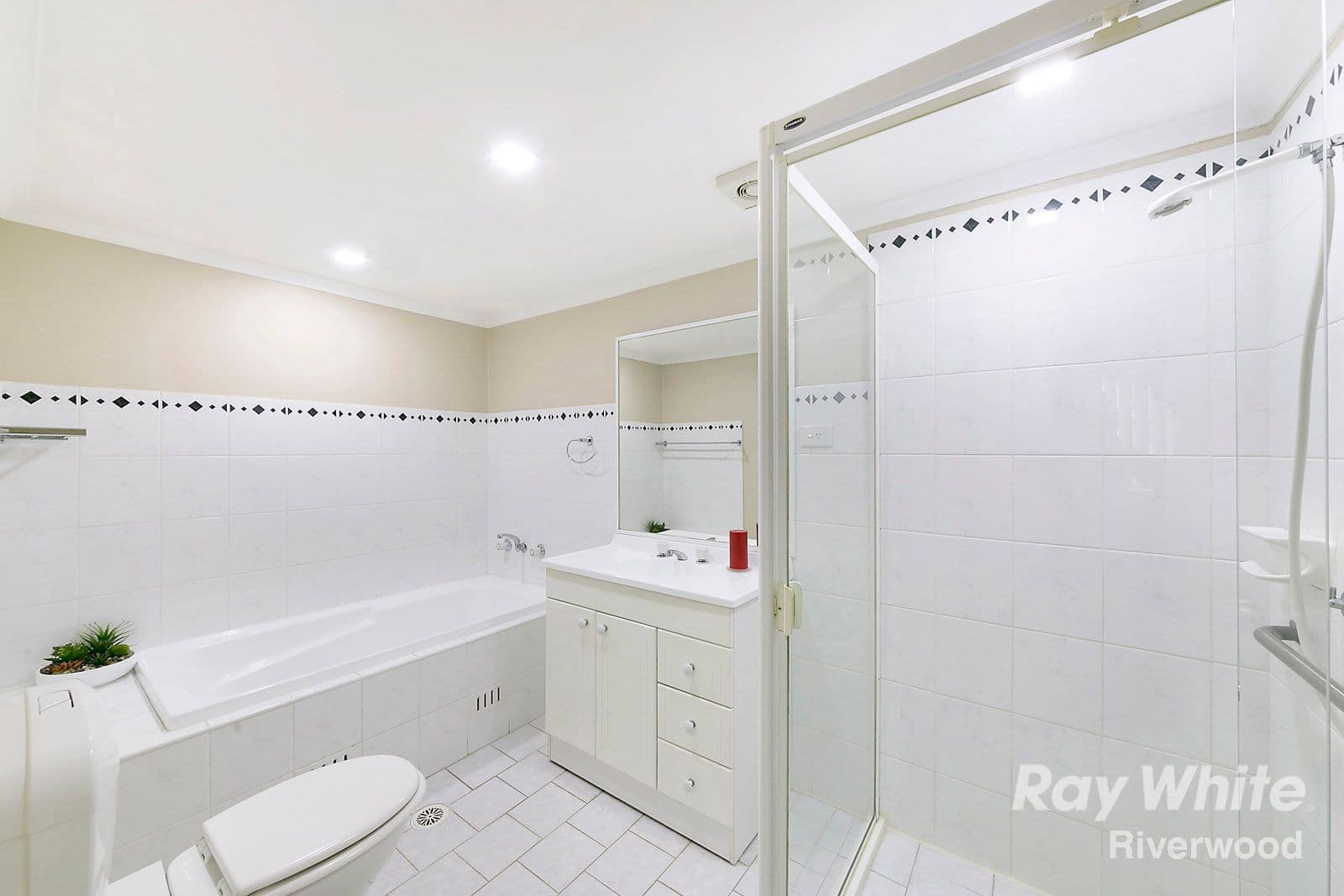 29 Littleton Street, Riverwood NSW 2210, Riverwood - Thumbnail 8