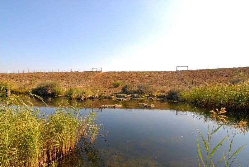 4 Jolyon Court, LITTLE RIVER VIC 3211, Little River - Thumbnail 2