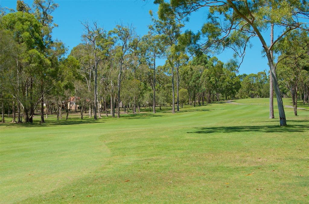 16 Waterwood Court, Arundel QLD 4214, Arundel - Thumbnail 3