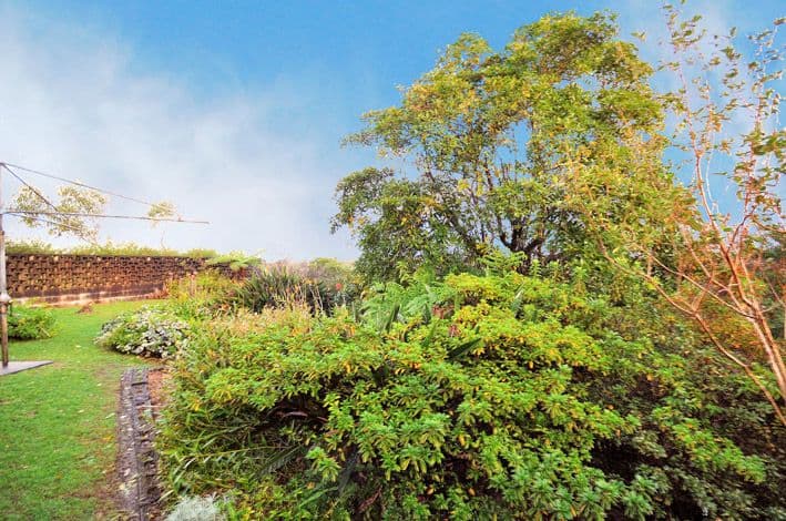 10 Highland Ridge, MIDDLE COVE NSW 2068, Middle Cove - Thumbnail 5