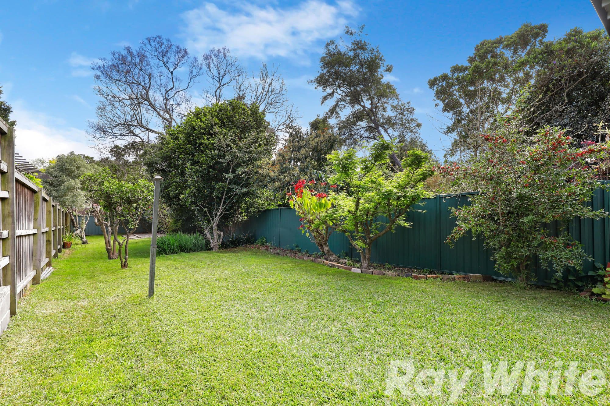 3 Cobar Street, Dulwich Hill - Thumbnail 3