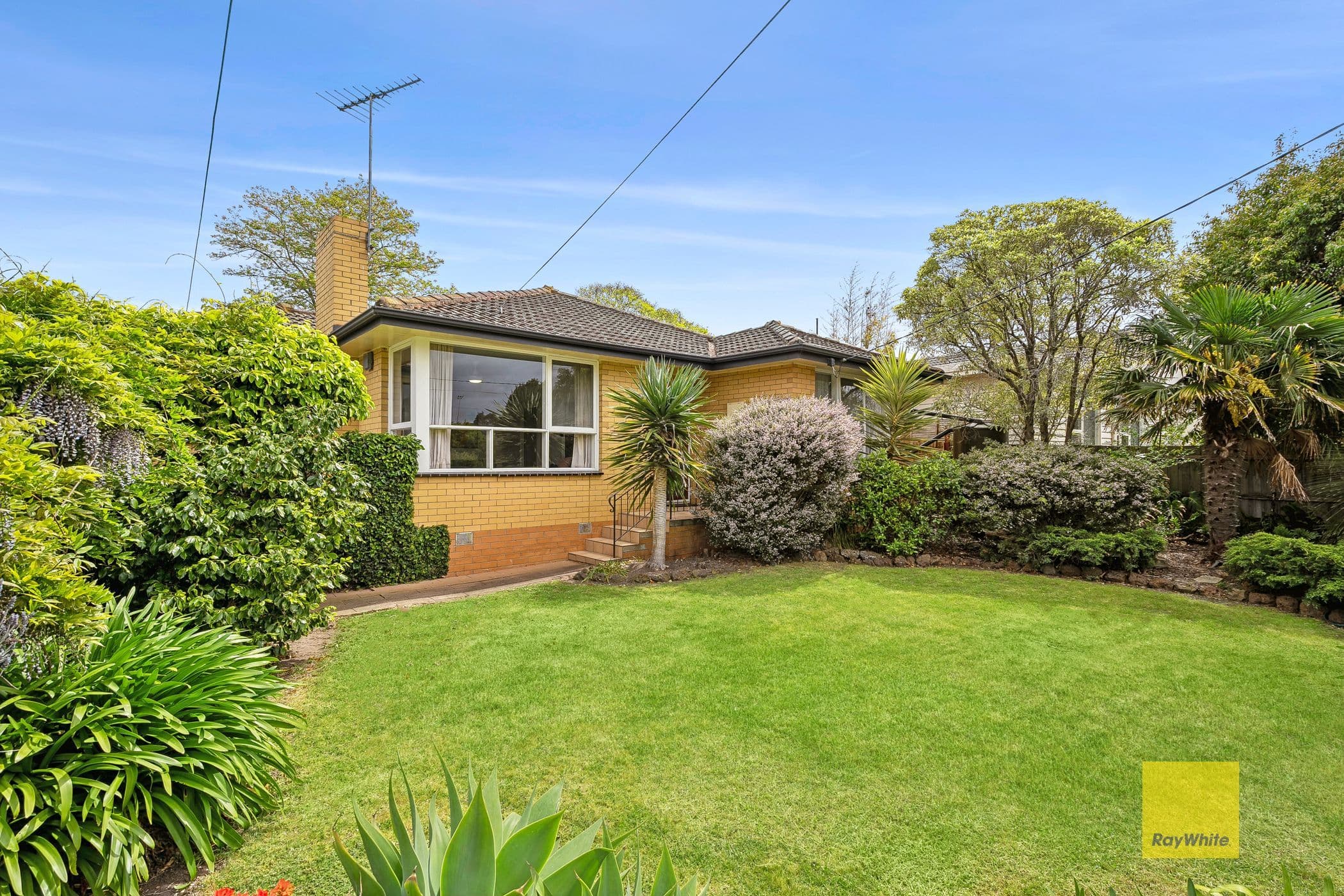 2 Glyn Street, Belmont VIC 3216, Belmont - Image 1