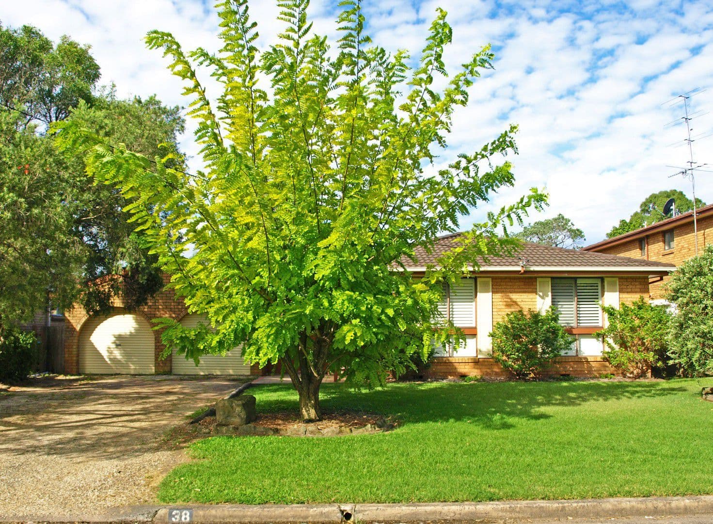 38 Boyce Avenue, WYONG NSW 2259, Wyong - Thumbnail 2