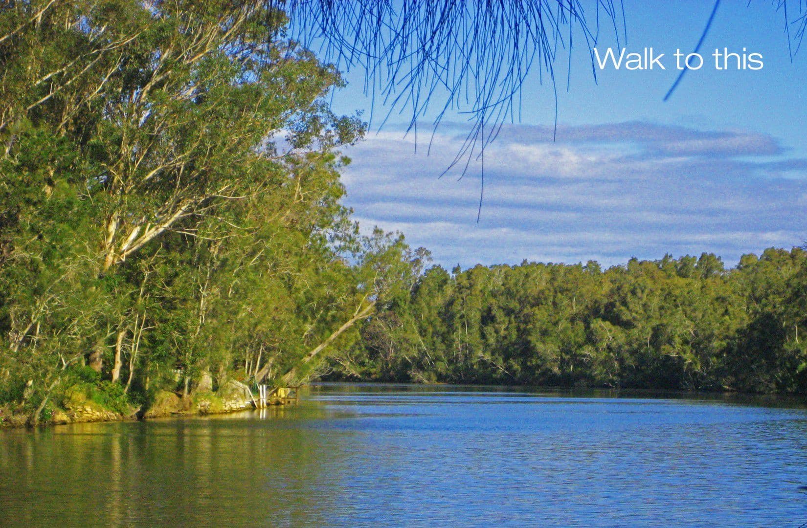 38 Boyce Avenue, WYONG NSW 2259, Wyong - Thumbnail 8