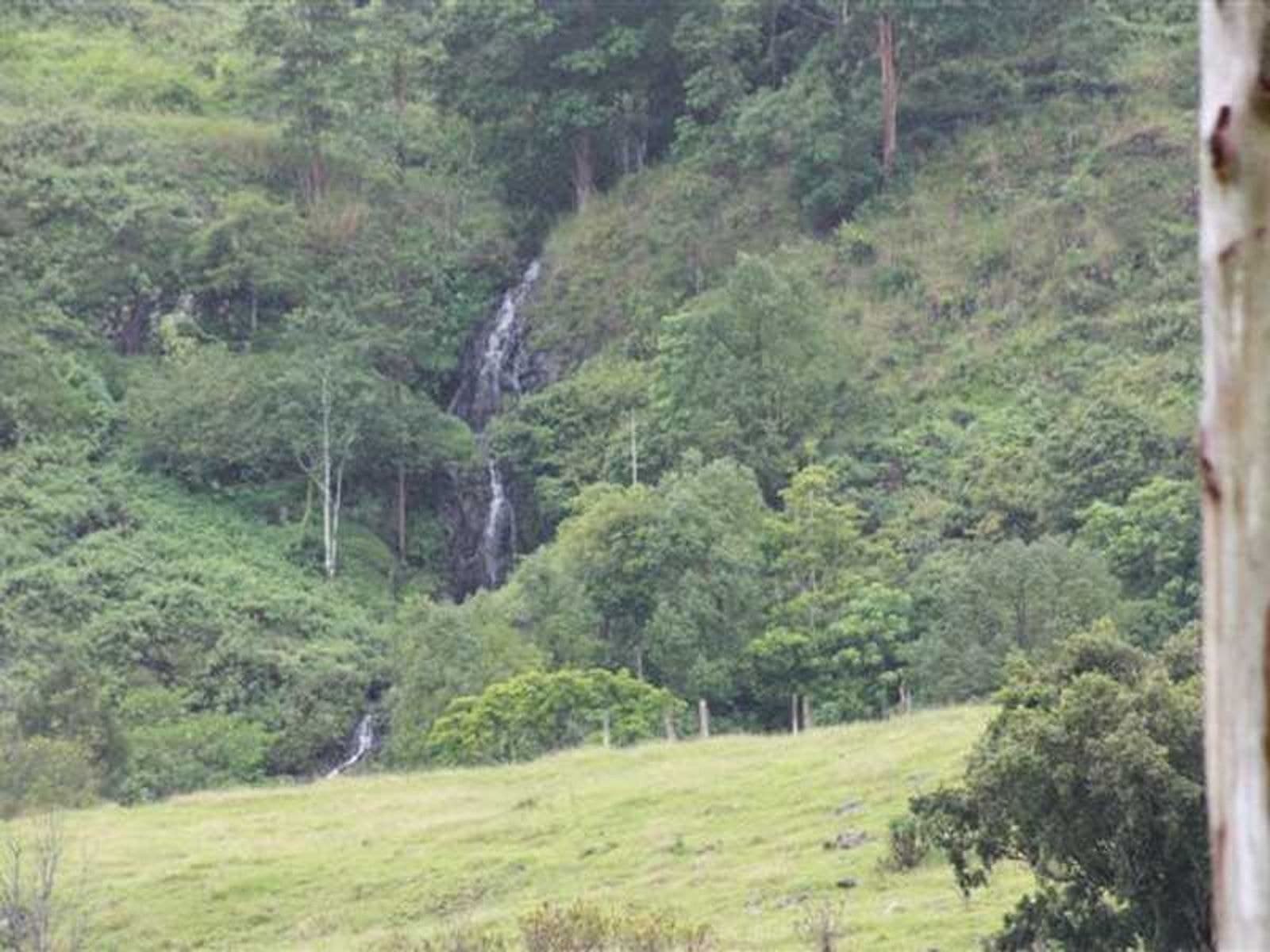 99 Anderson Road, Nimbin - Thumbnail 5