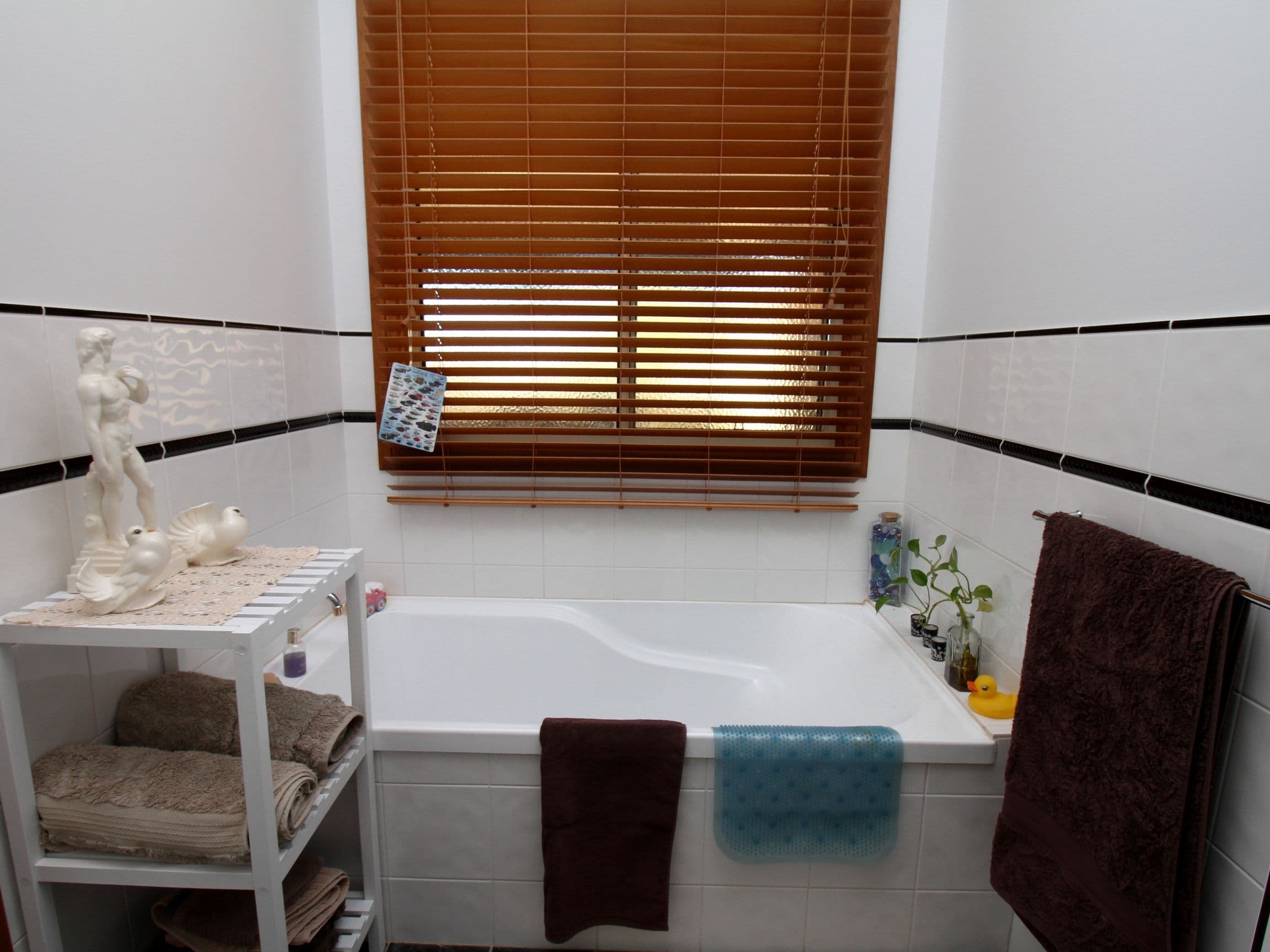 29 Fuller Road, Berri SA 5343, Berri - Thumbnail 5