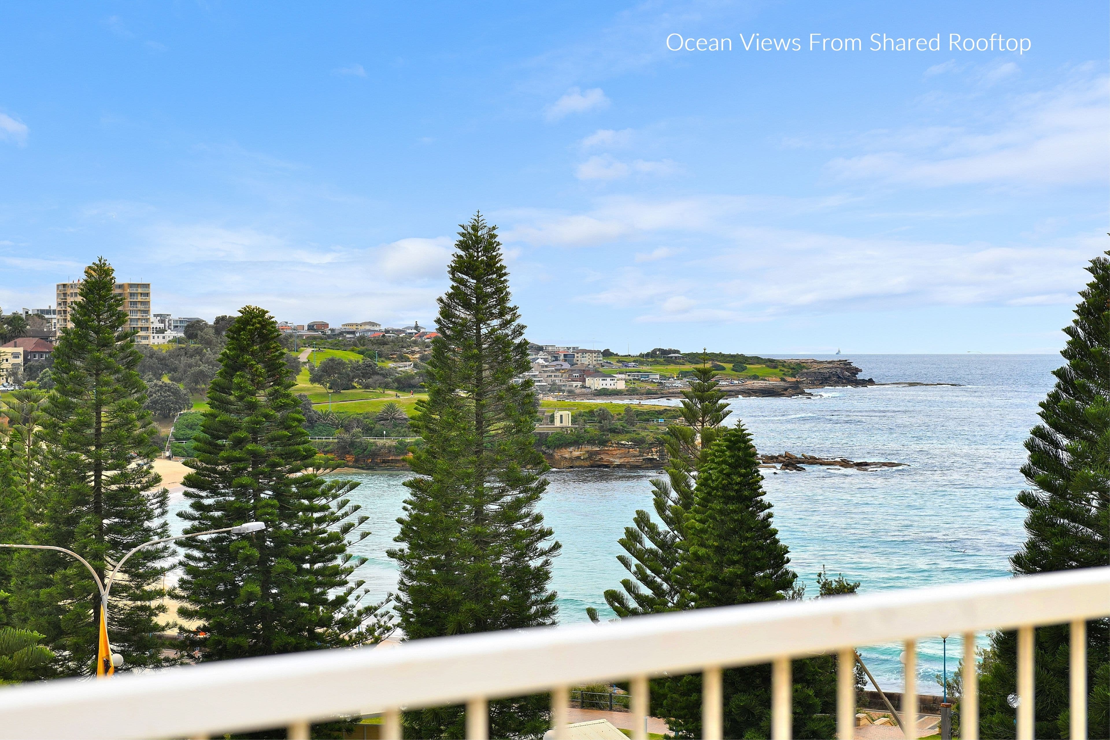 50 Carr Street, Coogee NSW 2034, Coogee - Thumbnail 7