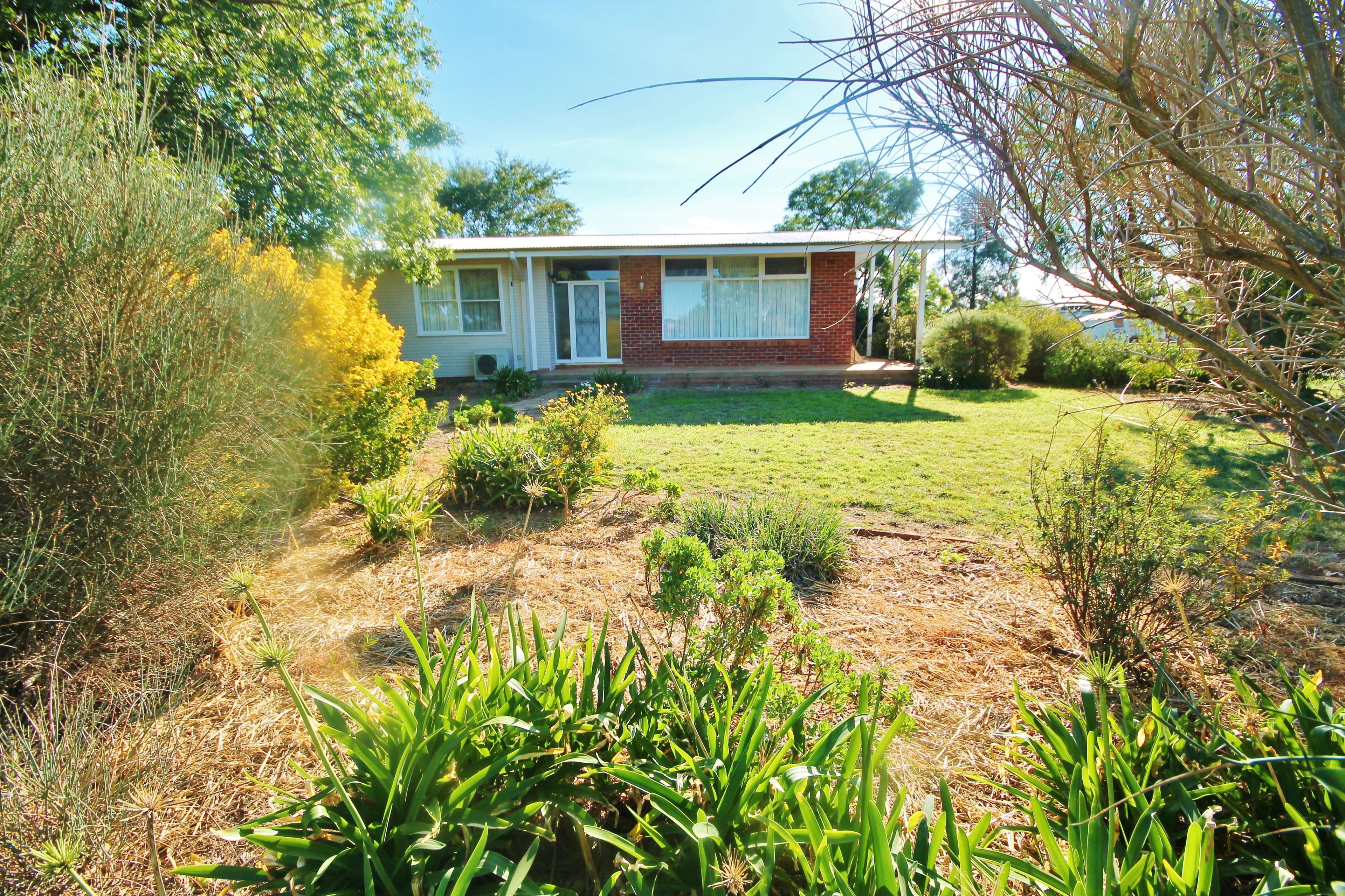 33 Hills Street, Young - Thumbnail 3