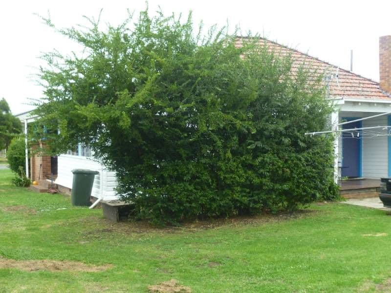 45-47 Greaves Street, INVERELL NSW 2360, Inverell - Thumbnail 8