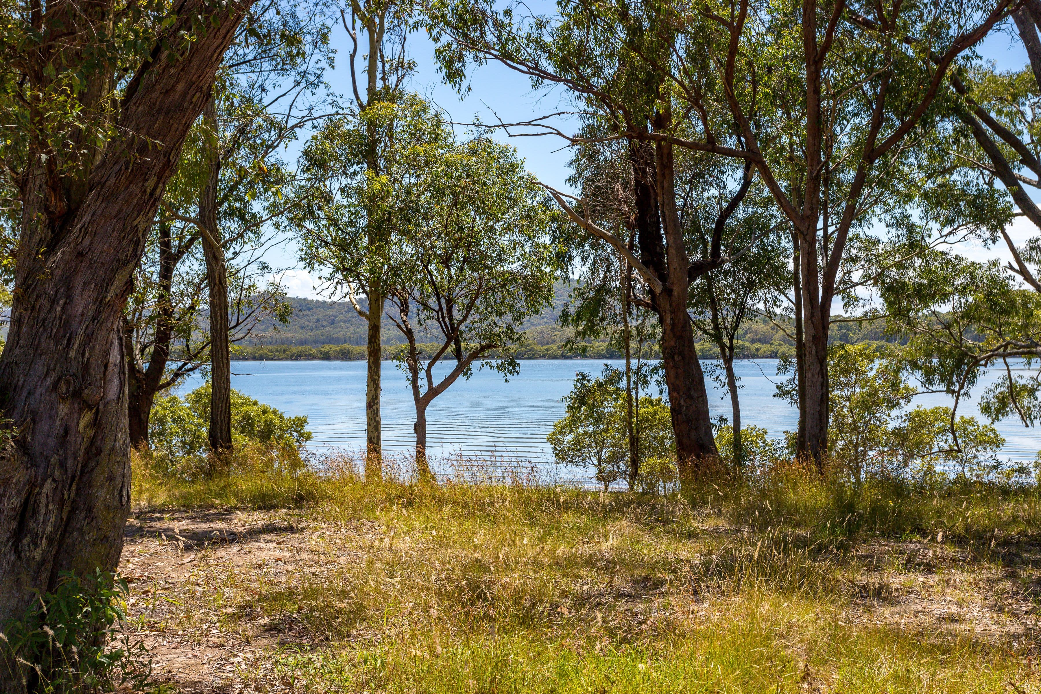 20 Boronia Road, Karuah - Thumbnail 2